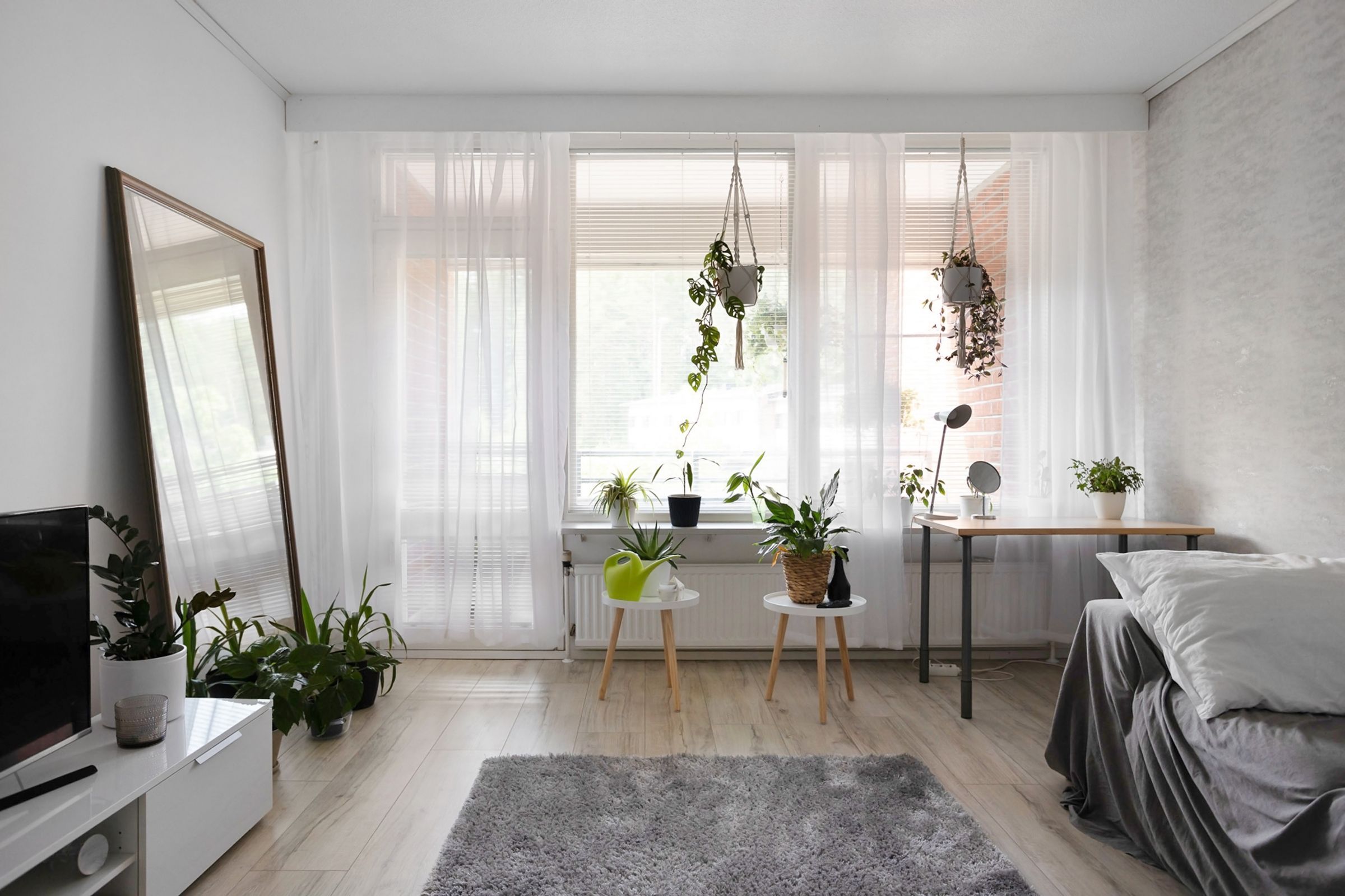 Sunlit room with white curtains and potted plants by the window
